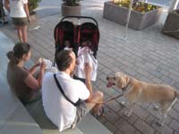 fest_06
